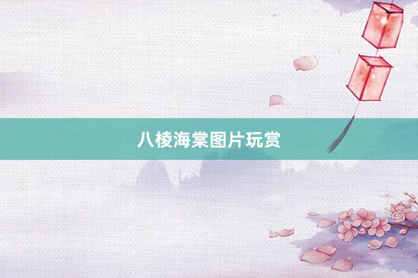 八棱海棠图片玩赏