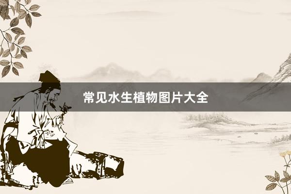 常见水生植物图片大全