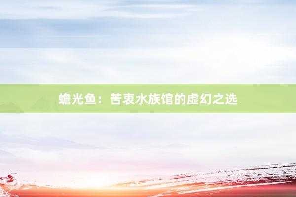 蟾光鱼：苦衷水族馆的虚幻之选