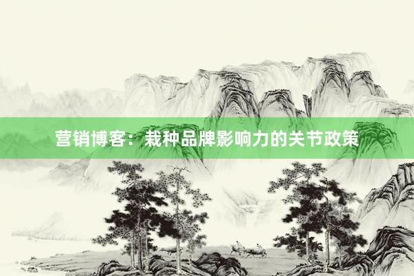 营销博客：栽种品牌影响力的关节政策